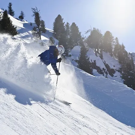 Alpinschlössl