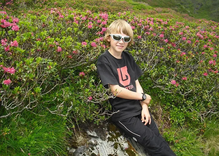 高山城堡公寓式酒店 4* 迈尔霍芬